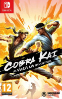 Cobra Kai The Karate Kid Saga Continues NS