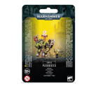 Orks Painboss Hobby