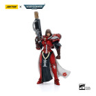 Warhammer 40k Action Figure 1/18 Adepta Sororitas Battle Sisters Order of the Bloody Rose Sister Lonell 12 cm Hobby