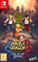 Double Dragon Gaiden Rise of the Dragons NS