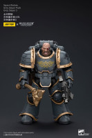 Warhammer The Horus Heresy Action Figure 1/18 Space Wolves Grey Slayer Pack Grey Slayer 3 12 cm Hobby