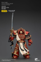 Warhammer The Horus Heresy Action Figure 1/18 Blood Angels Crimson Paladins Squad Crimson Exemplar 14 cm Hobby