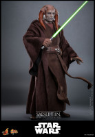 Star Wars: Episode III - Revenge of the Sith Movie Masterpiece Action Figure 1/6 Saesee Tiin 31 cm Hobby
