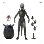 Alien: Earth Ultimate Figurka Wendy's Xenomorph 18 cm Hobby