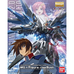 MG 1/100 FREEDOM GUNDAM Ver 2.0 & KIRA YAMATO