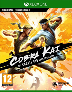 Cobra Kai The Karate Kid Saga Continues