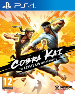 Cobra Kai The Karate Kid Saga Continues