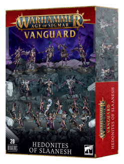 Vanguard Hedonites Of Slaanesh