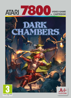 Dark Chambers