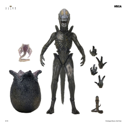 Alien: Earth Ultimate Figurka Wendy's Xenomorph 18 cm