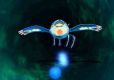 Pokemon Alpha Sapphire