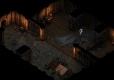 Pillars of Eternity PL