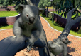 Zoo Tycoon Ultimate Animal Collection