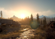 Days Gone PL