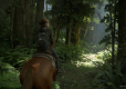 The Last Of Us Part 2 PL/ANG +przypinka