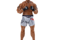 UFC FIGURKA DANIEL CORMIER