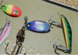 The Catch Carp and Coarse Collector's Edition
