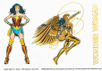 Wonder Woman 1984 naklejki na laptop