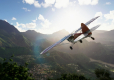Microsoft Flight Simulator
