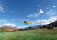 Microsoft Flight Simulator