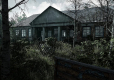 Chernobylite