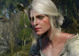 The Witcher 3 Wild Hunt PL/ANG