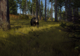 Way of the Hunter