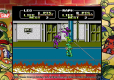 Teenage Mutant Ninja Turtles The Cowabunga Collection