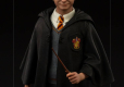 Harry Potter Art Scale Statue 1/10 Harry Potter 17 cm