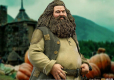 Harry Potter Deluxe Art Scale Statue 1/10 Hagrid 27 cm