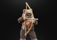 Star Wars Episode VI 40th Anniversary Black Series Action Figure Wicket 15 cm