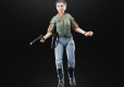 Star Wars Episode VI 40th Anniversary Black Series Action Figure Princess Leia (Endor) 15 cm