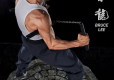 Bruce Lee Hybrid Type Superb Statue 1/4 Bruce Lee Tribute Ver. 4 57 cm