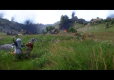 Kingdom Come Deliverance Royal Edition