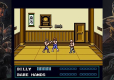 Double Dragon Collection