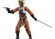 Star Wars Black Series Archive Action Figure Luke Skywalker 15 cm