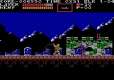 Castlevania Anniversary Collection Ultimate Edition (LRG)