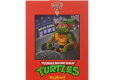 Teenage Mutant Ninja Turtles (Cartoon) Action Figure Ultimate Raphael VHS 18 cm