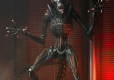 Alien: Romulus Ultimate Action Figure Scorched Xenomorph 18 cm