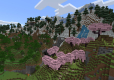 Minecraft NOR/ANG/PL