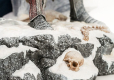 The Witcher 3 Statue 1/6 Wild Hunt Diorama 55 cm