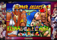 Street Fighter 30th Anniversary Collection (kod w pudełku)