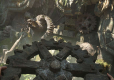 Indiana Jones and the Great Circle IT/ANG/PL