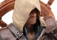 Assassin's Creed Black Flag Resynced Collector's Edition