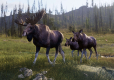 Way of the Hunter 2 Deluxe Edition