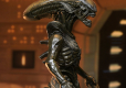 Alien: Earth Ultimate Figurka Wendy's Xenomorph 18 cm