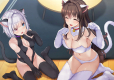 NinNin Heroines (Import)