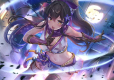NinNin Heroines (Import)