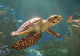 Planet Zoo 2