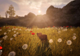 Adorable Adventures